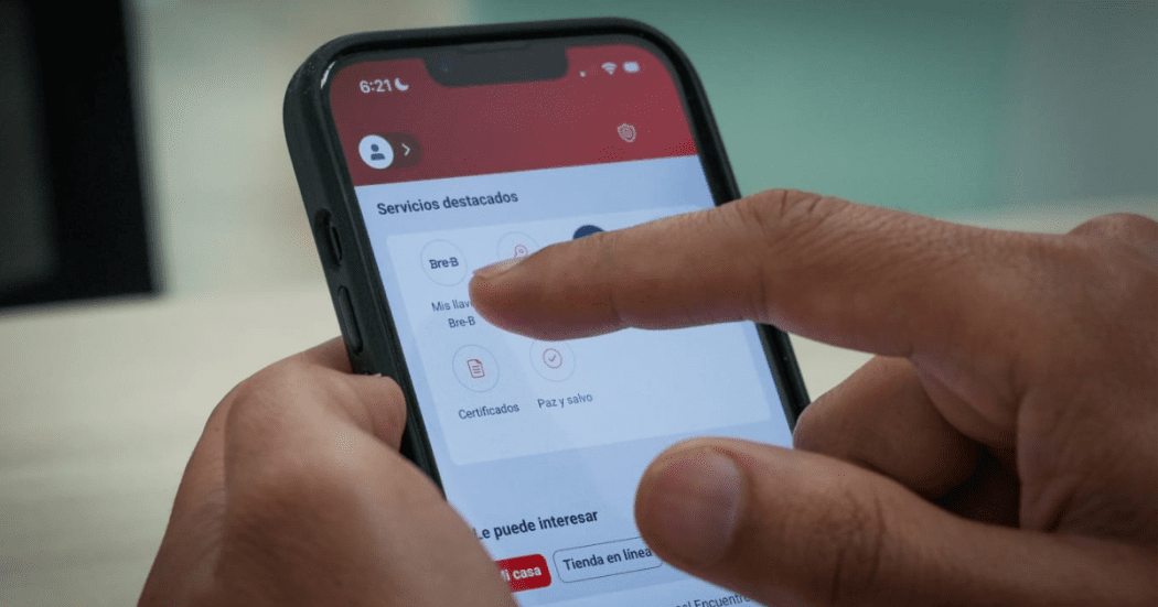 Foto de una persona manejando un celular.