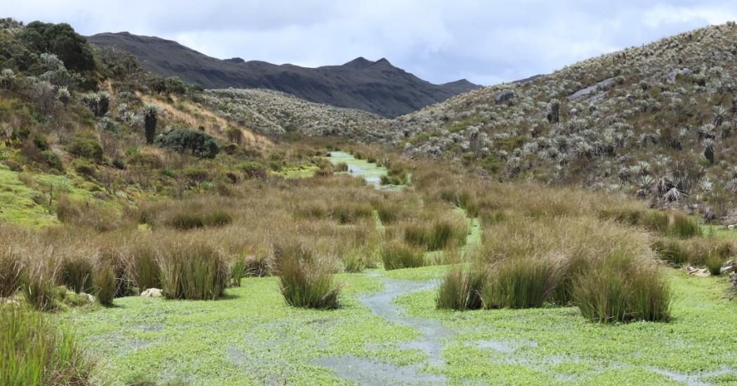 Foto del Páramo de Sumapaz en el sur de Bogotá.