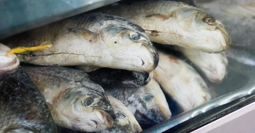 Foto de pescados en una de las Plazas Distritales de Mercado de Bogotá.