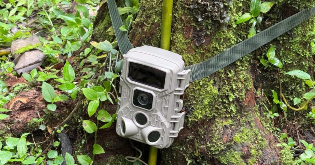 Cámara de vigilancia de fauna