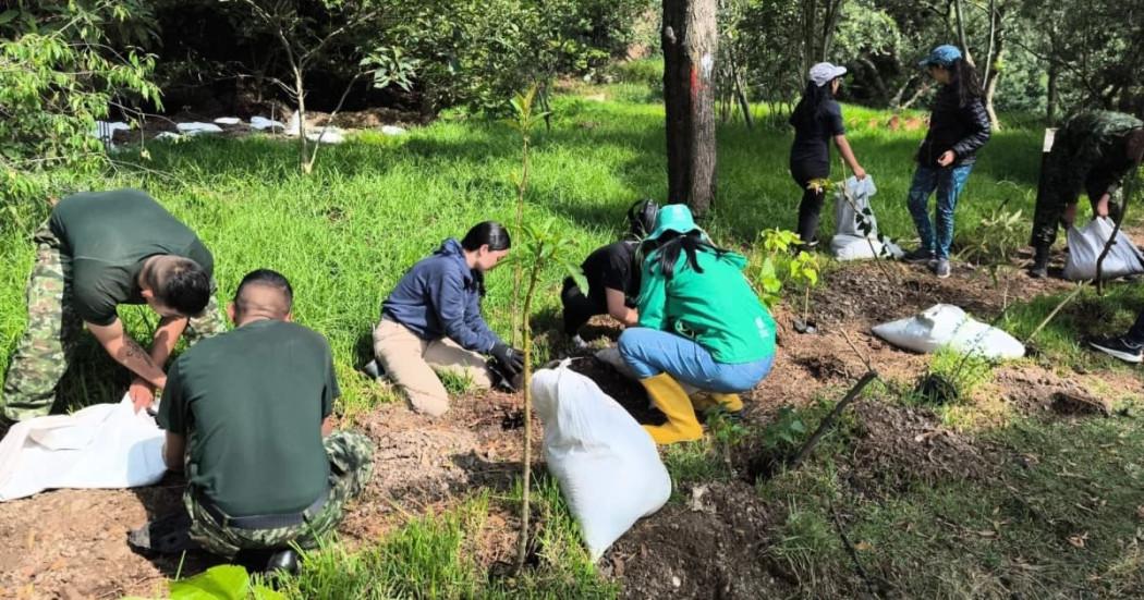 personas sembrando plantas en un parque