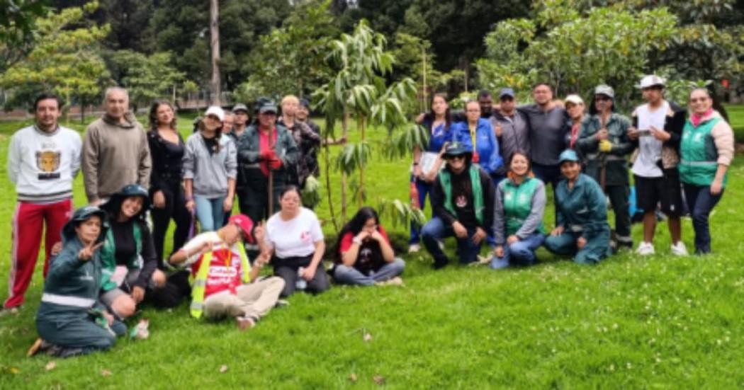 Comunidad y un árbol recién sembrado