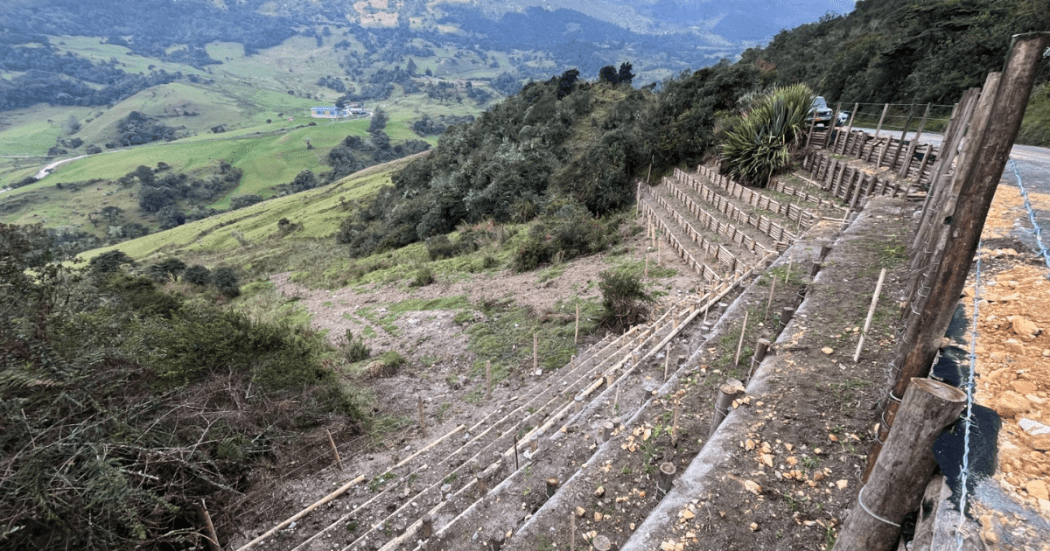 Foto de un paisaje en la localidad de Sumapaz
