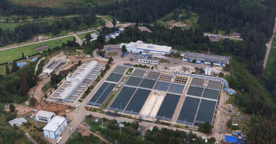 Foto de la planta Tibitoc 