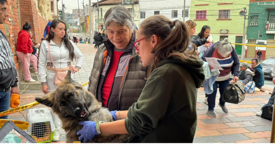 Foto de un funcionario ayudando a un ciudadano con su mascota