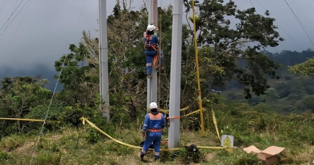 Foto de trabajadores de Enel Colombia realizando revisión de redes de energía.