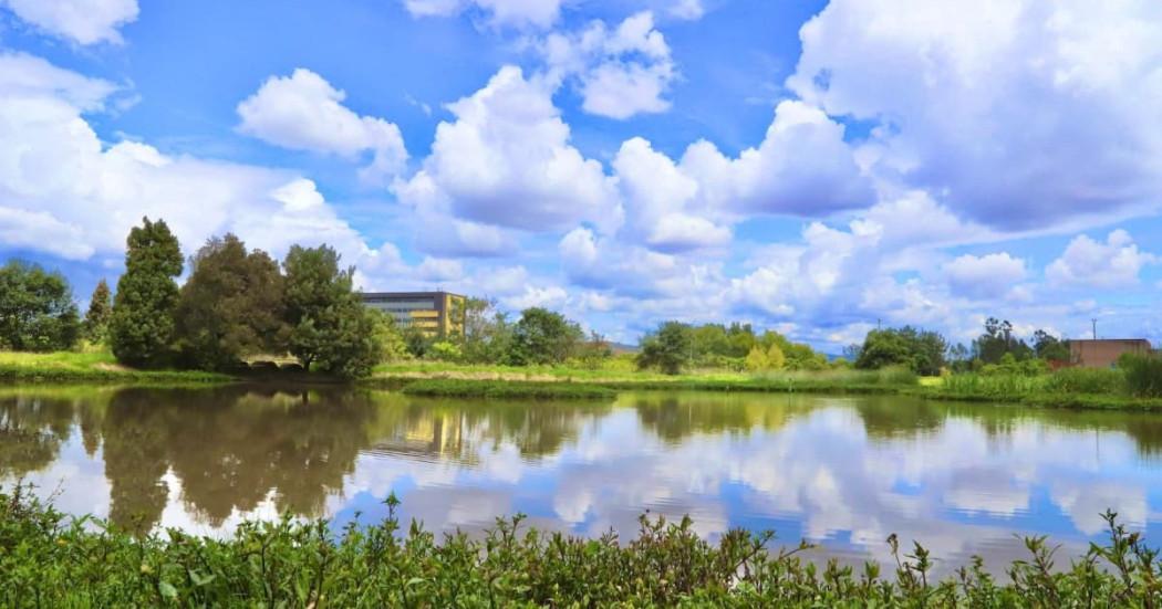 Humedal Capellanía de Bogotá