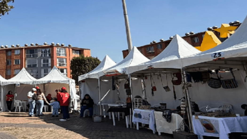 Imagen de diferentes carpas