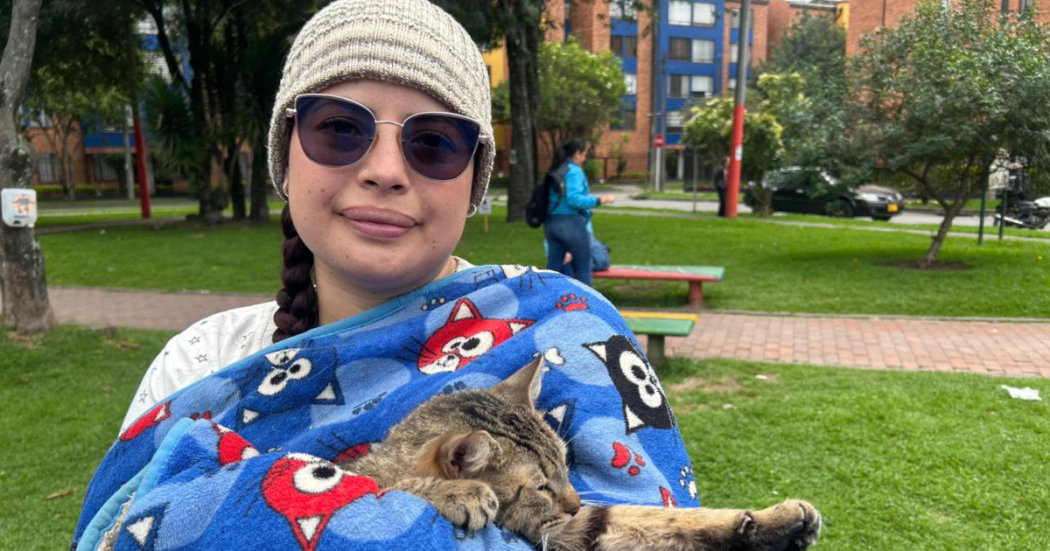 Imagen de una mujer alzando a un gato