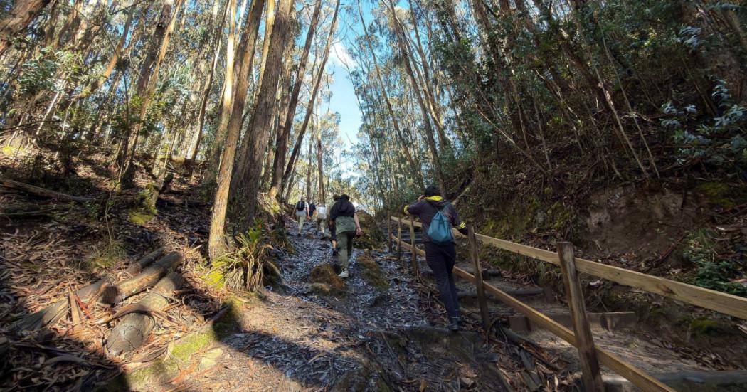 Foto que muestra personas caminando por un sendero ecológico