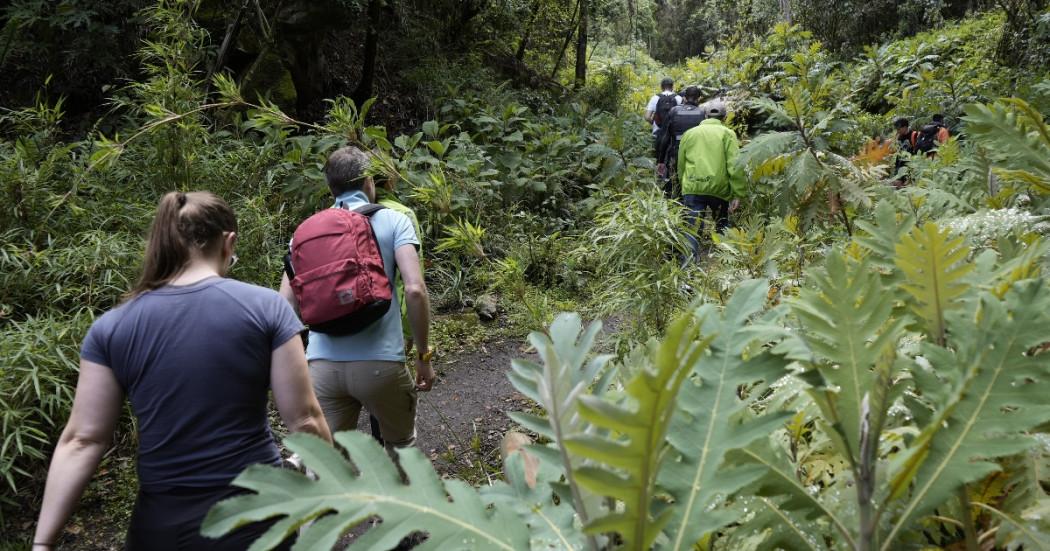 Personas caminando por un sendero ecológico 