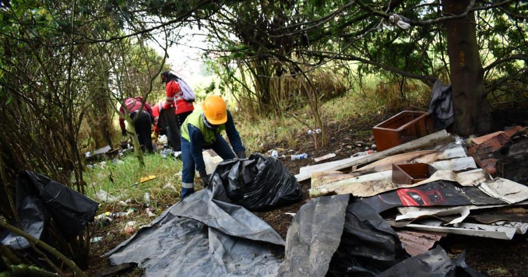 Foto de jornada de limpieza. 