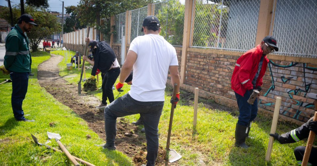 Imagen de personas trabajando con palas