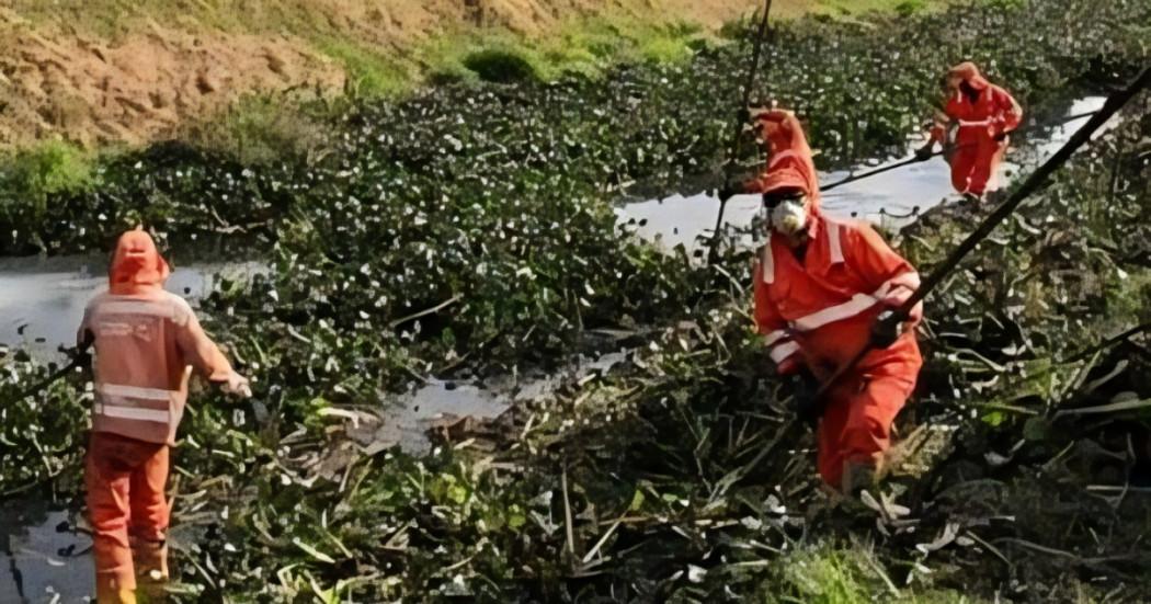 Foto que muestra trabajadores de Aguas de Bogotá limpiando la Quebrada Tibanica