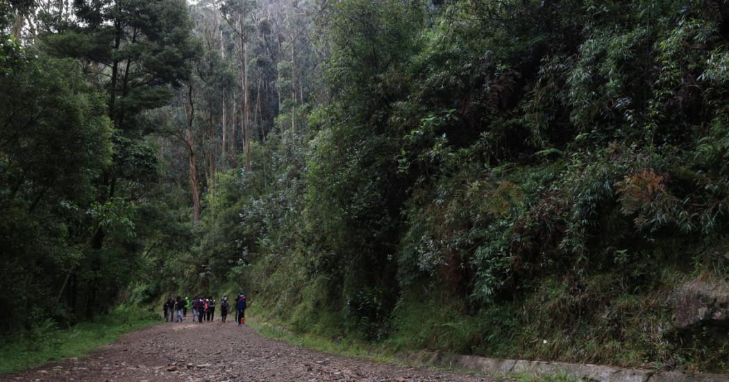 Foto que muestra un sendero ecológico