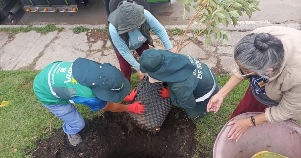 Personas sembrando árbol