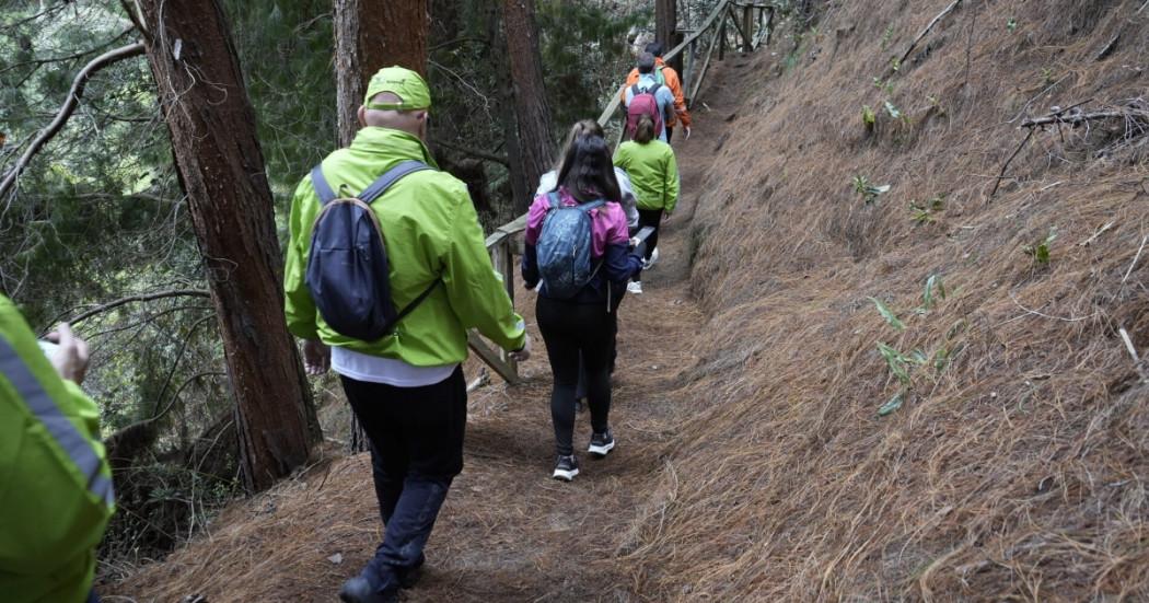 Foto que muestra personas caminando por un sendero ecológico 