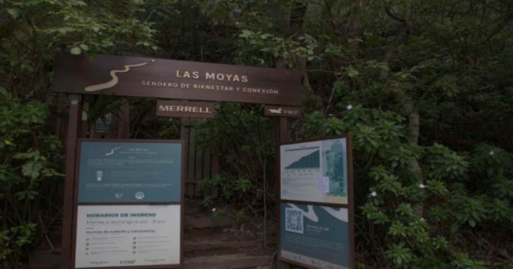 Foto del sendero Las Moyas en los Cerros Orientales de Bogotá.