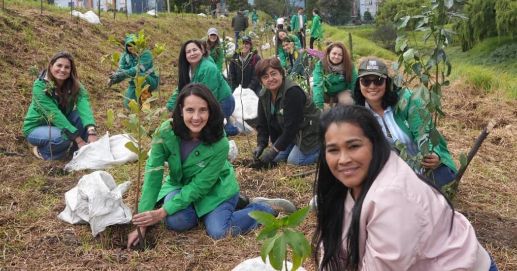 equipo de la Secretaría de Ambiente en jornada de restauración del Humedal de Techo