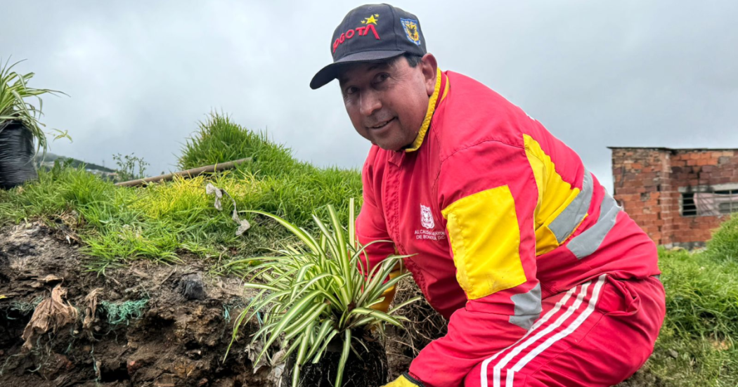 Foto de funcionarios del Distrito en operativo de limpieza