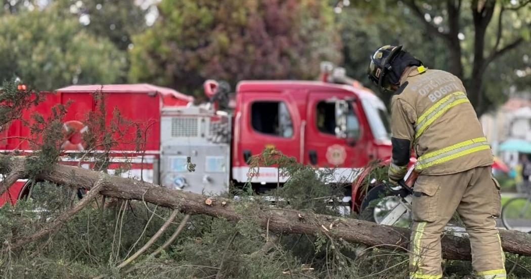 Uniformado del Cuerpo de Bomberos atendiendo un caso de árbol caído en Bogotá.