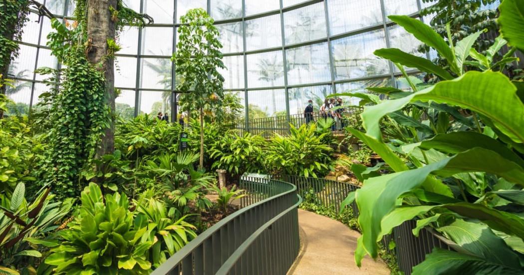 Tropicario del Jardín Botánico de Bogotá