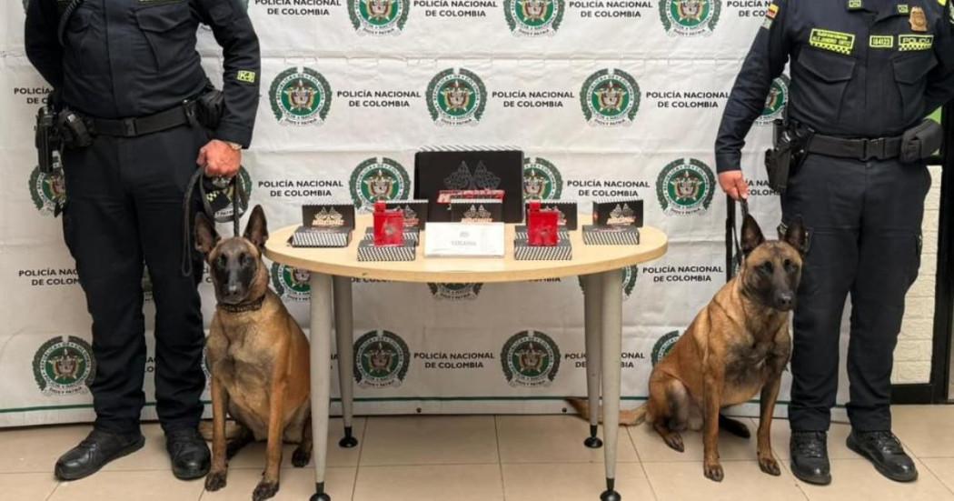 Dos policías y dos perros, con 3 kg de cocaína que pretendía salir del país hacia Australia.