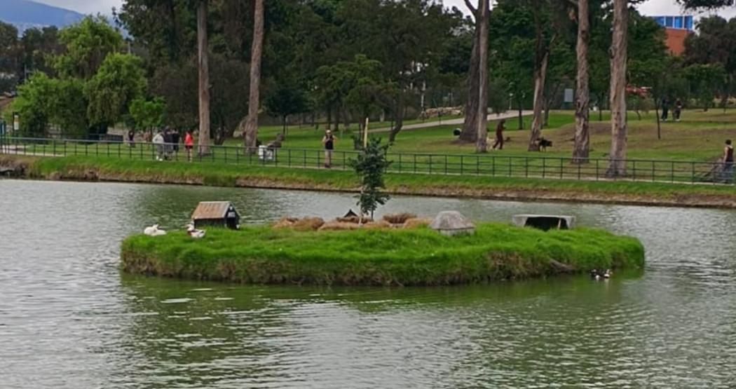 Guayacán sembrado en parque Timiza