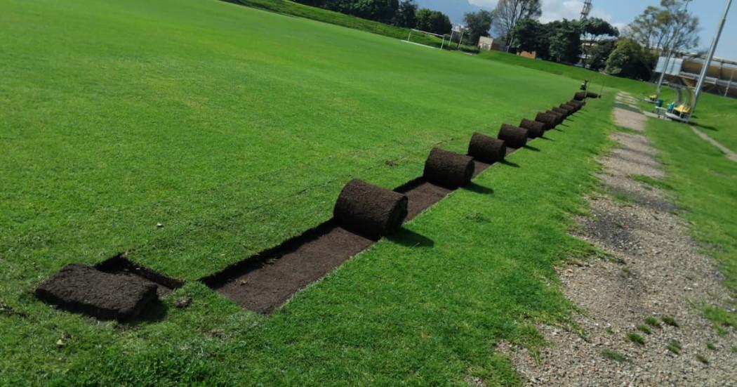 El césped de El Campincito tipo grama tipo kikuyo