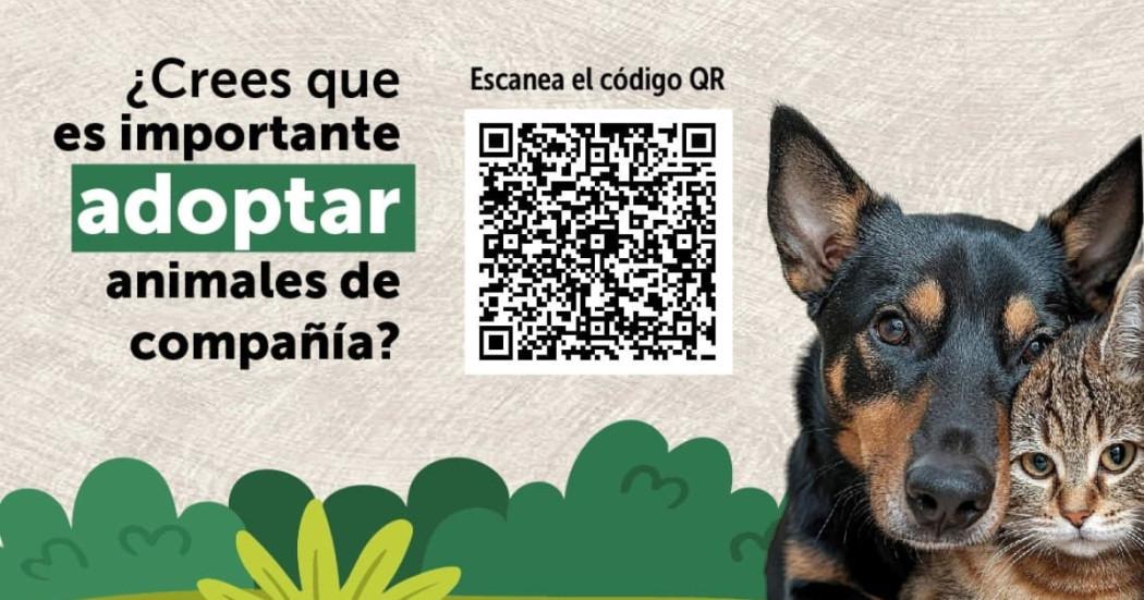 Invitación encuesta sobre adopción de animales de compañía