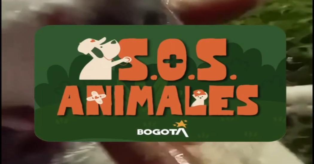 Logo programa SOS Animales