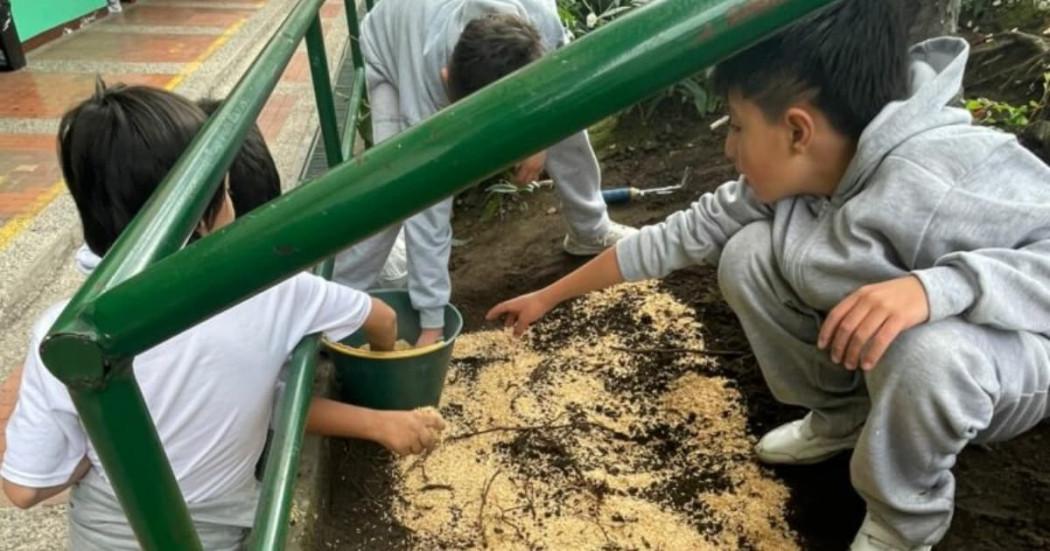 Estudiantes realizan actividad de polinización en La Candelaria