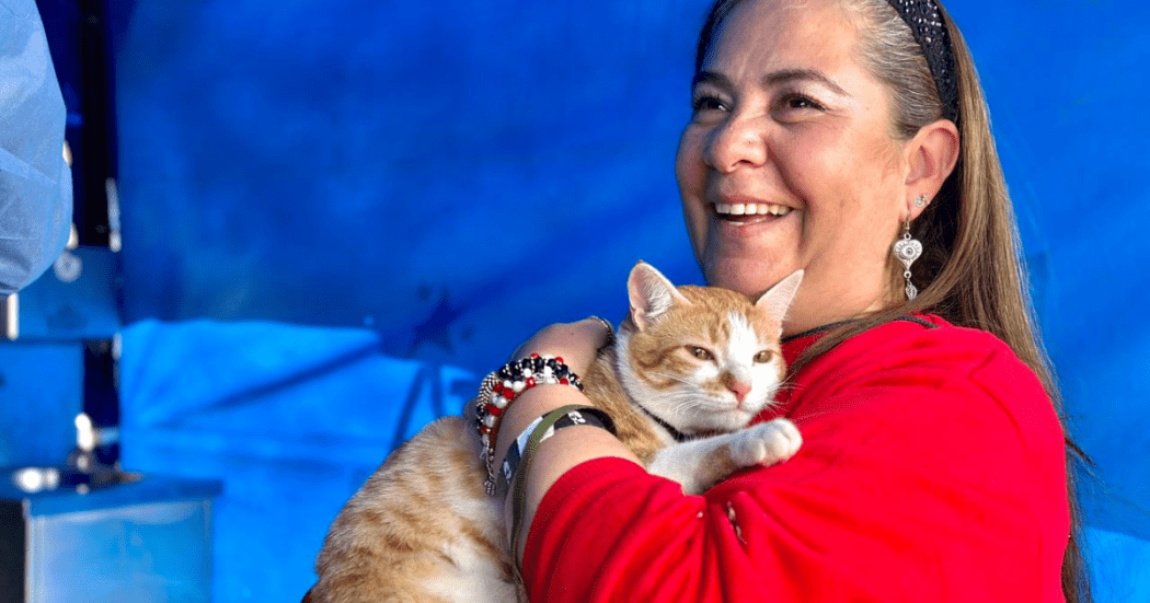 Foto de una mujer con un gato en una de las jornadas de vacunación de mascotas en Bogotá.