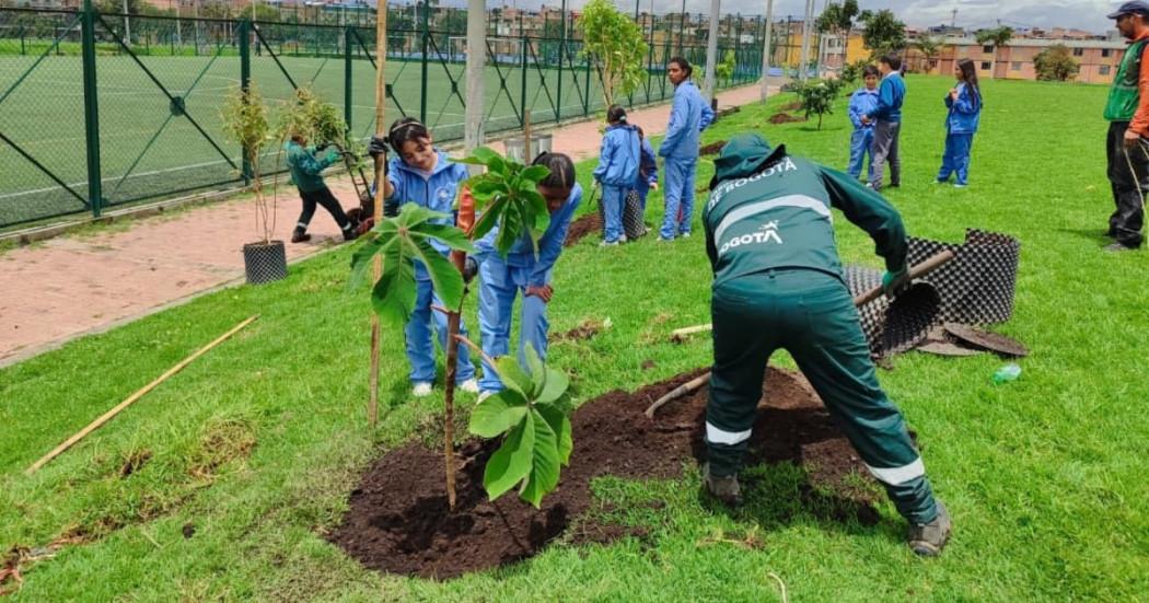 actividad de siembra de árboles con el Jardín Botánico de Bogotá