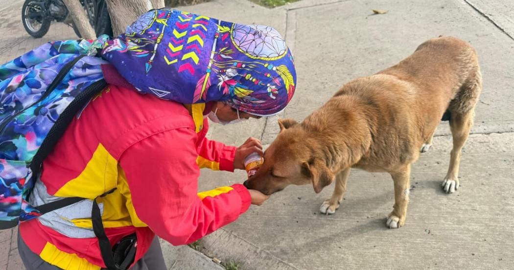 Funcionaria de la Alcaldía Local atendiendo un perro