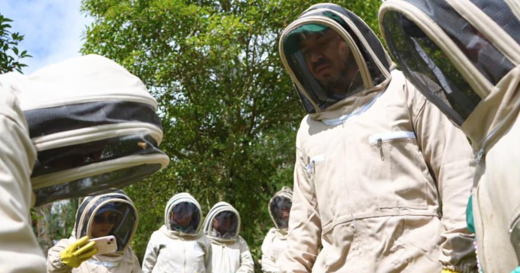 Clínica de abejas en Bogotá