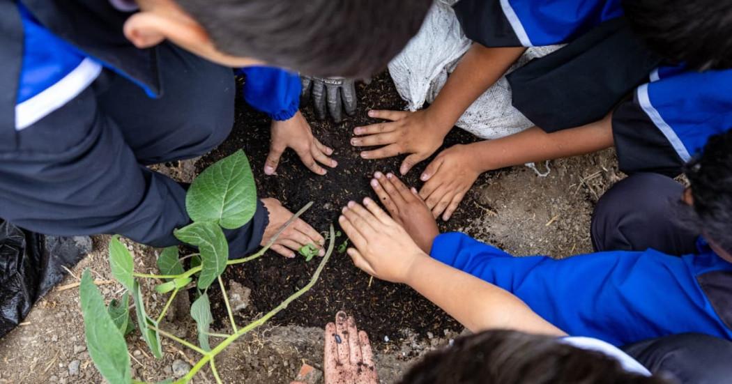 Niños plantando un árbol.