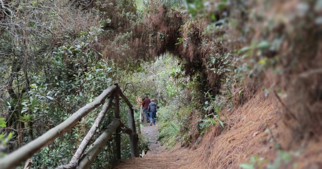 Foto que muestra un sendero ecológico 
