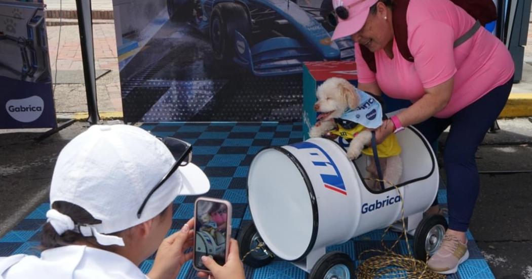 Foto de un perro en Pit Stop de Ciclovía de Bogotá.