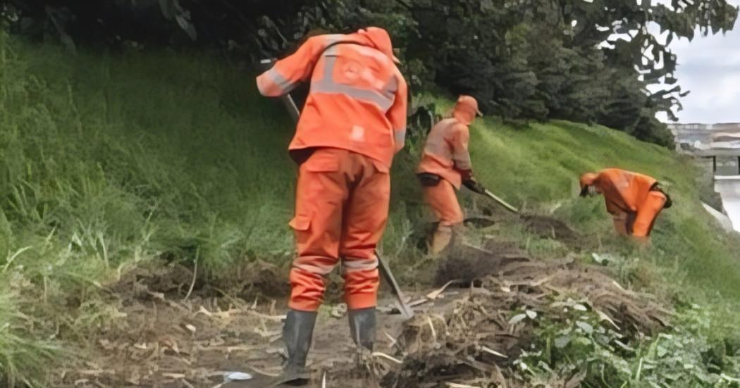 Foto que muestra personas limpiando un humedal 