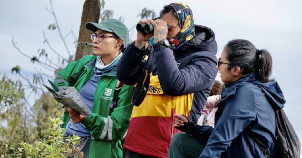 Personas con binoculares observando aves en Bogotá