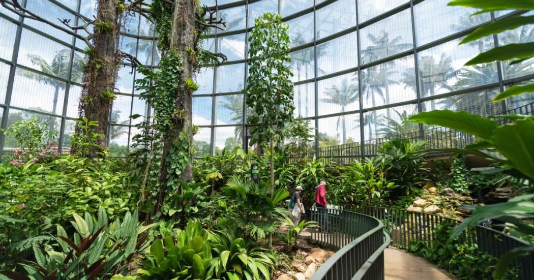 Tropicario del Jardín Botánico de Bogotá