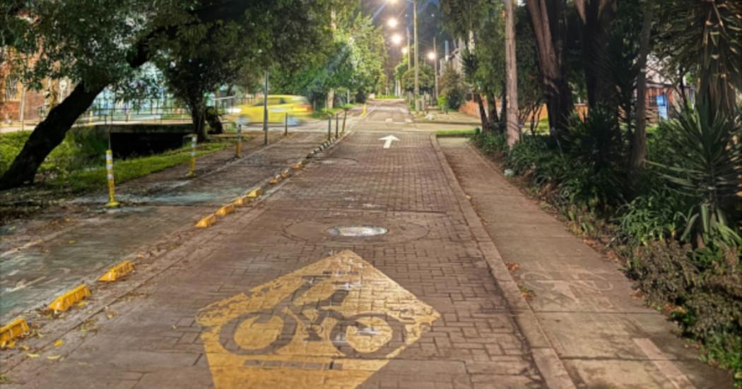 Foto que muestra un sendero peatonal y arboles 
