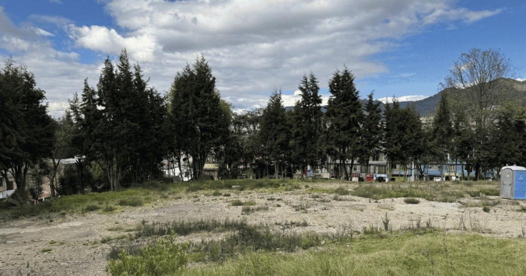 Foto panorámica de un lote con arboles