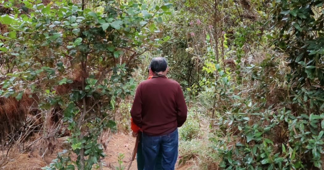 Foto que muestra unas personas caminando en senderos ecológicos