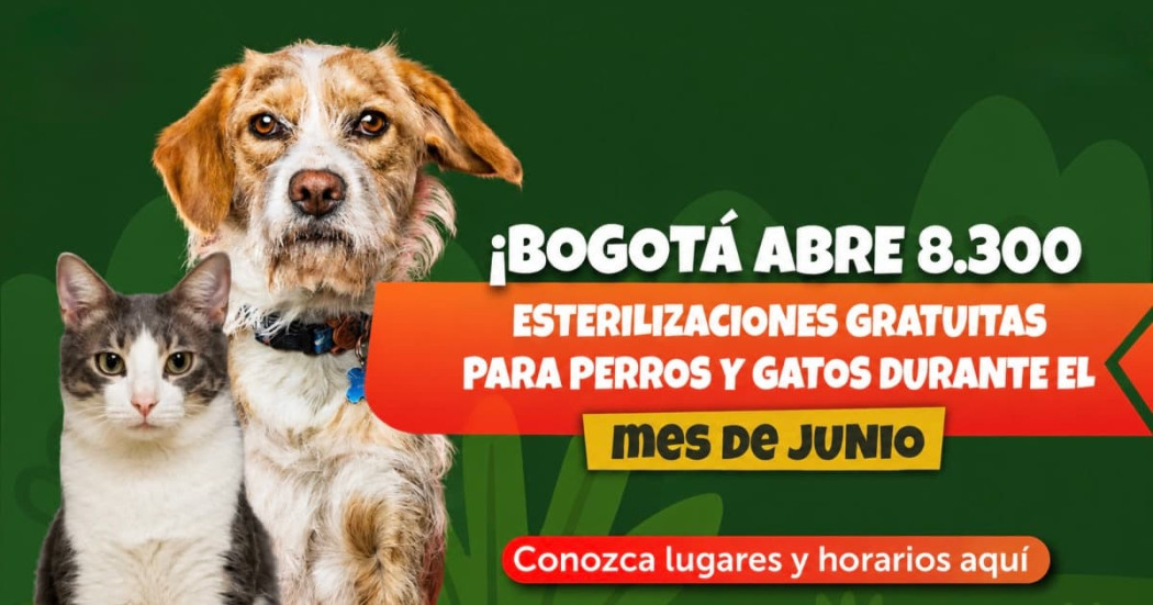Perro y gato junto a aviso: “¡Bogotá abre 8.300 esterilizaciones gratuitas para perros y gatos durante el mes de junio! Conozca lugares y horarios aquí”