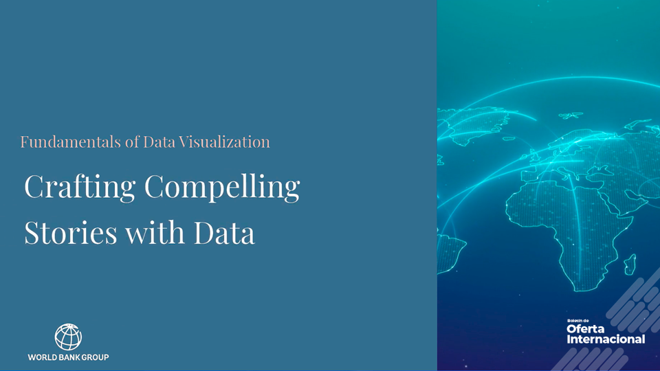 Profesional analiza datos y crea visualizaciones informativas