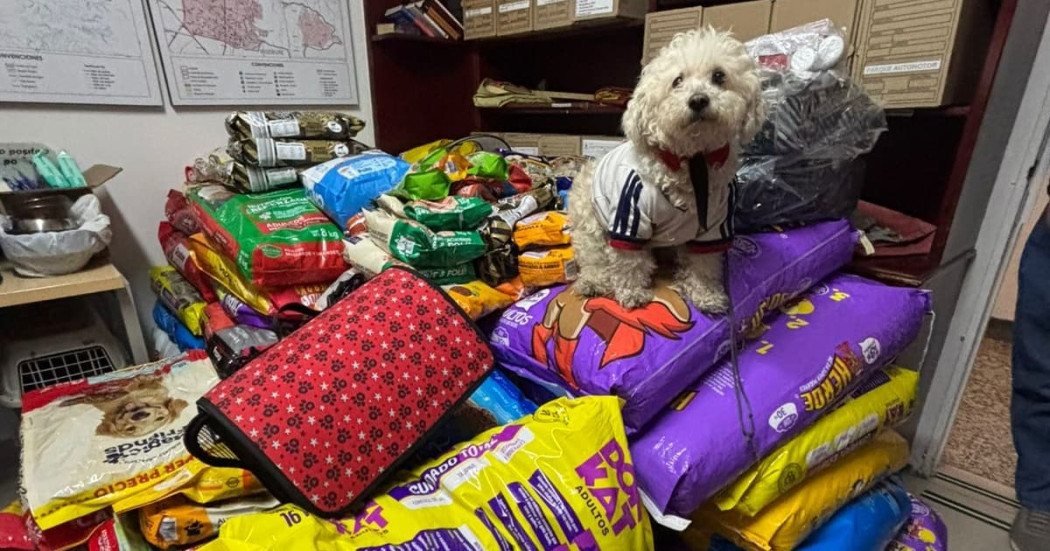 Foto de donaciones recolectadas para animales afectados en Venezuela.