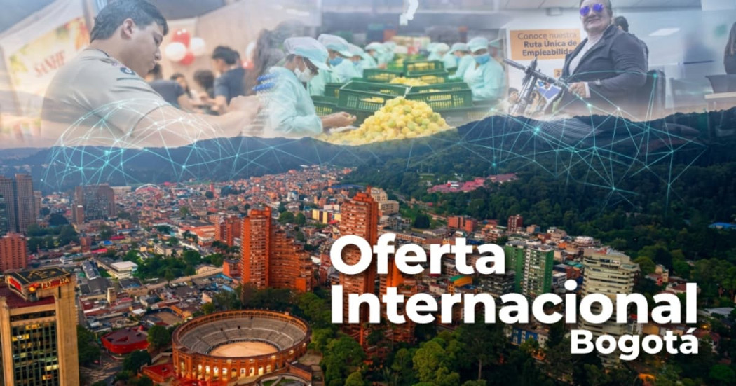 Convocatorias y apoyos a ONG Boletín Oferta Internacional Bogotá 2026