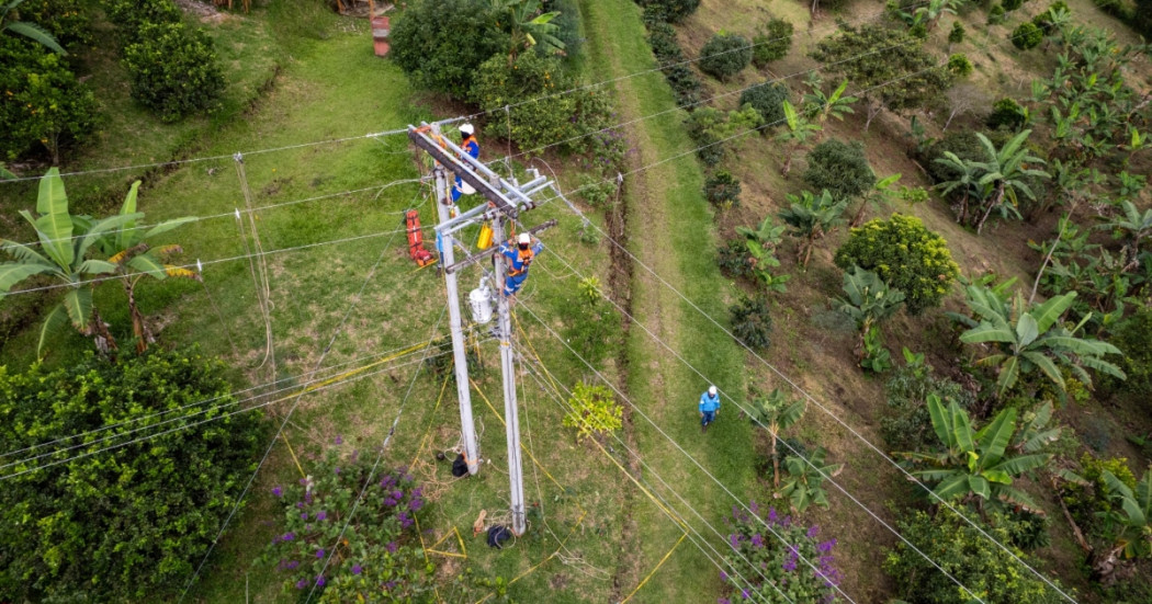Foto que muestra árboles y dos personas con uniforme de Enel Colombia en un poste de energía 